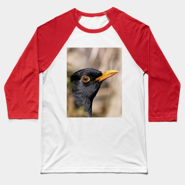 r700/  an Attentive Blackbird - Merle Attentif ! " Les Oiseaux du jardin " simply life " to Okaio Créations - Olavia-Olao Baseball T-Shirt by caillaudolivier